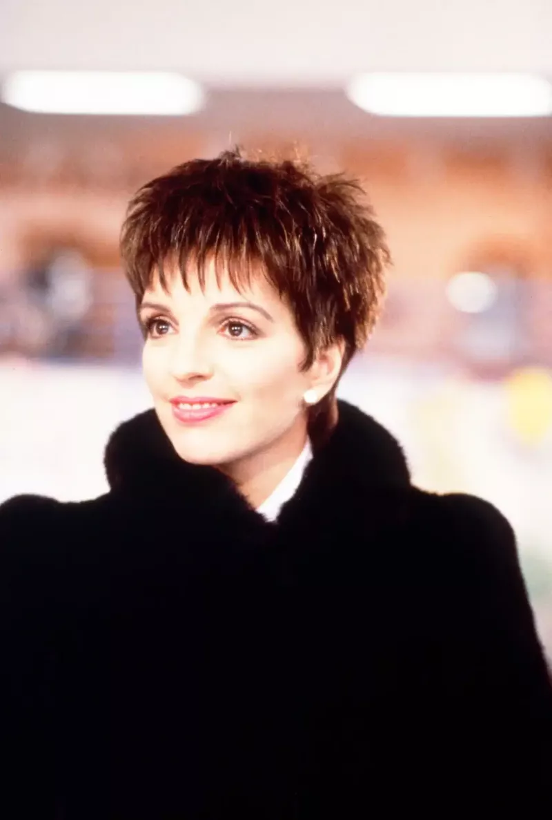 memorias de liza minnelli