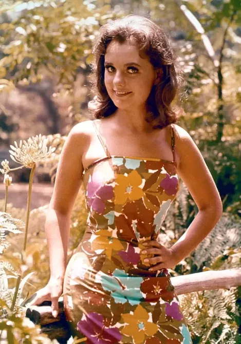 Dawn Wells maksaa Gilliganin saarelta