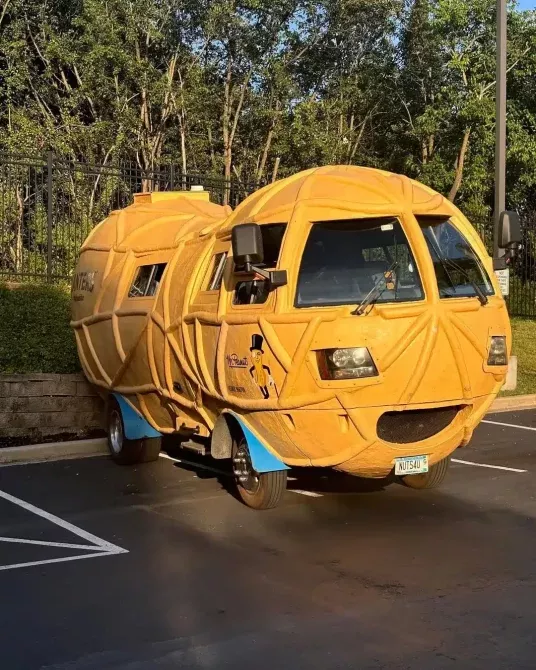 come guidare le fioriere nutmobile