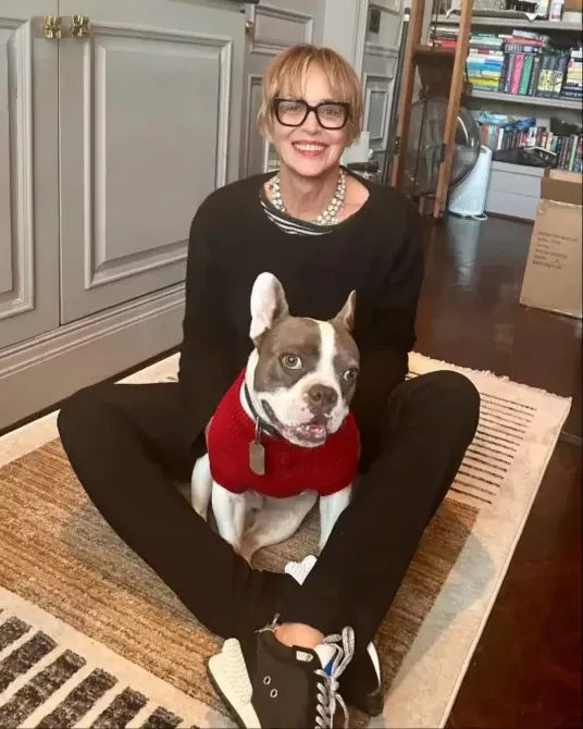 Sharon Stone agyvérzés