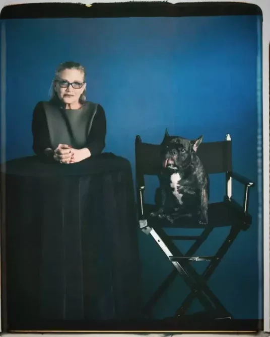 Ο σκύλος του Carrie Fisher
