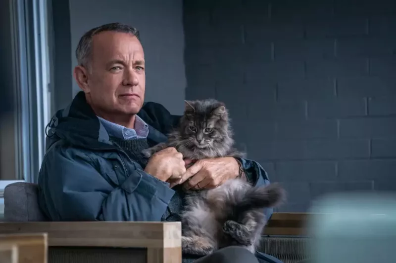 La edad de Tom Hanks que odiaba