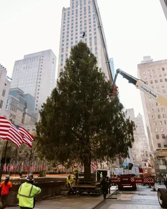 Árbol de Navidad del Centro Rockefeller