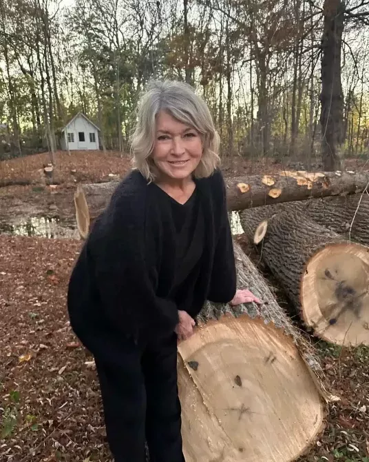 Μακιγιάζ Martha Stewart
