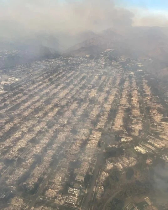 جيني جارث بيتر فاسينيلي