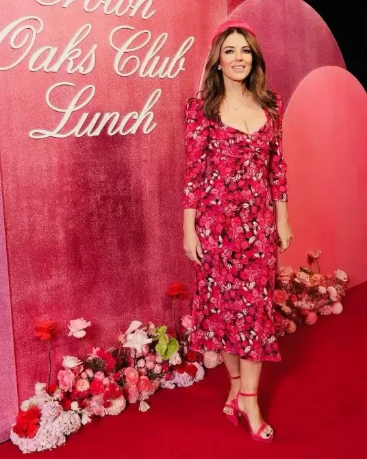 sânul Elizabeth Hurley
