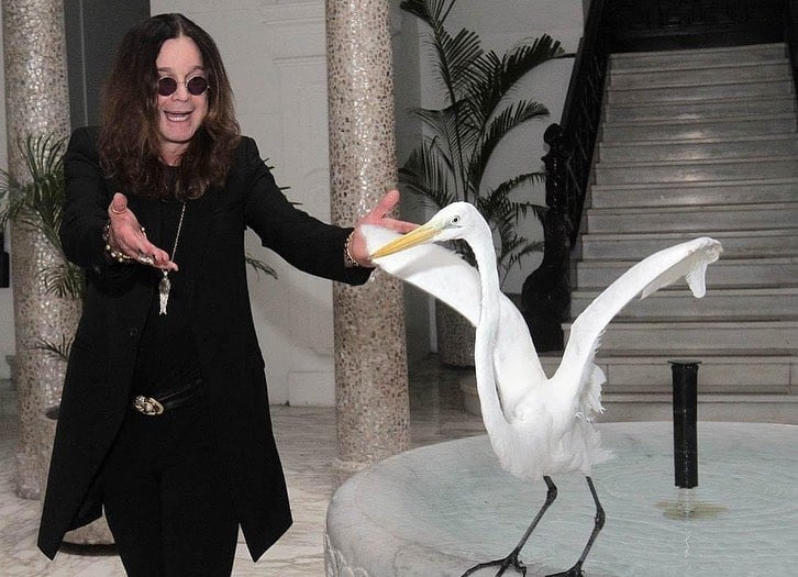  Ozzy Osbourne