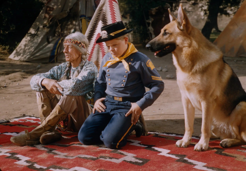  LAS AVENTURAS DE RIN TIN TIN, segundo desde la izquierda: Lee Aaker, 1954-59