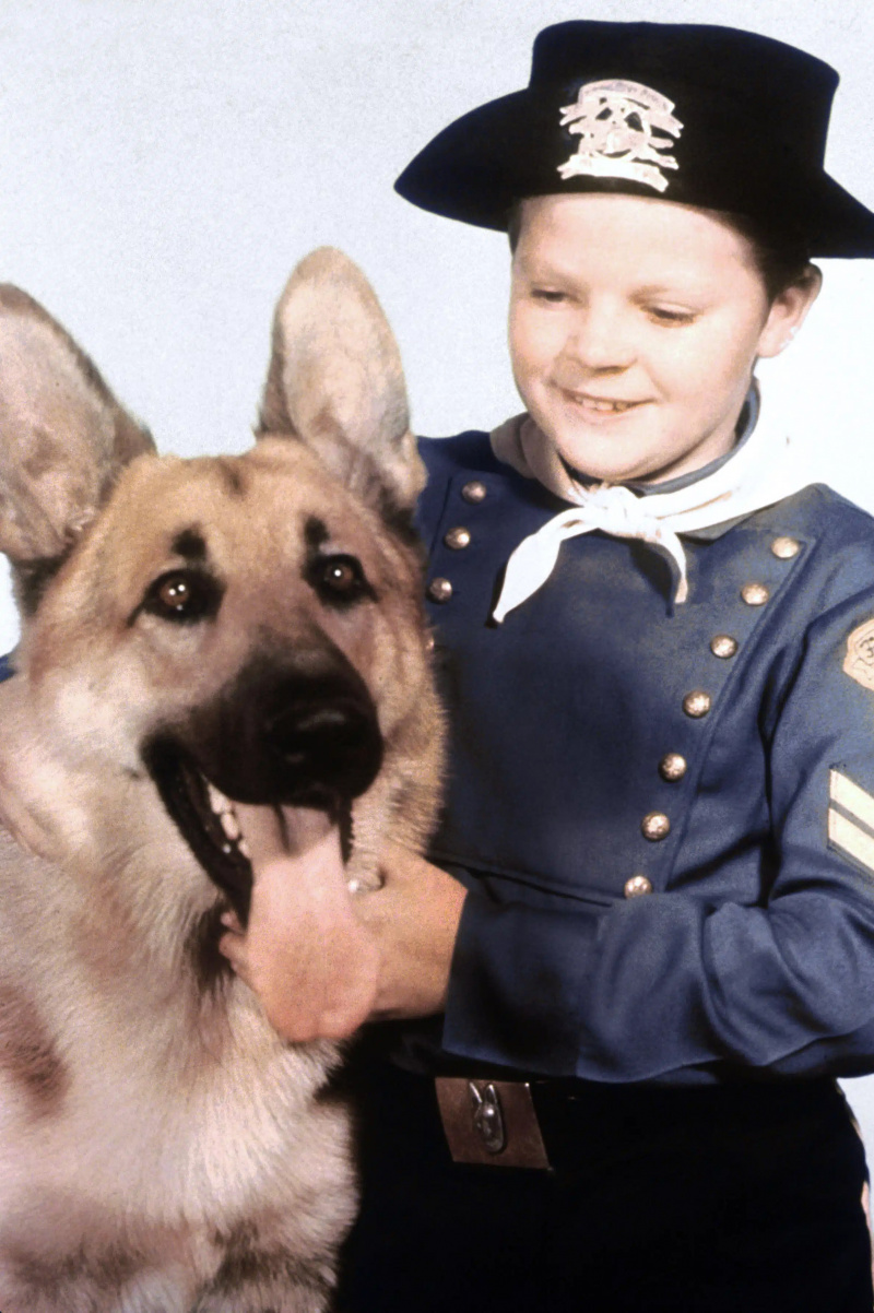 RIN TIN TIN'İN MACERALARI, Rin Tin Tin, Lee Aaker, 1954-59