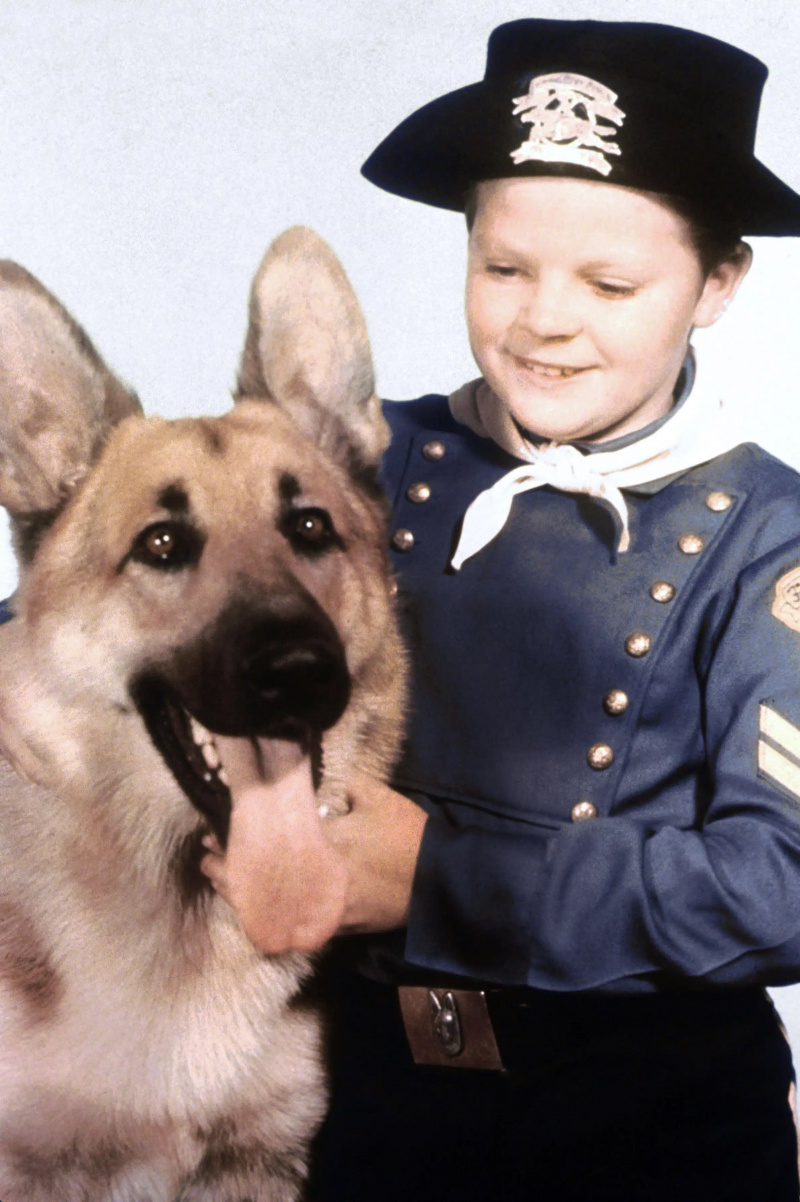  LAS AVENTURAS DE RIN TIN TIN, Rin Tin Tin, Lee Aaker, 1954-59