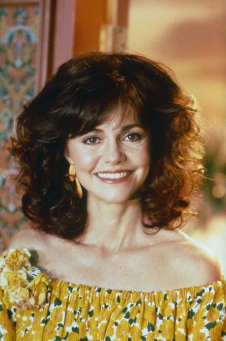 Campo Sally's net worth