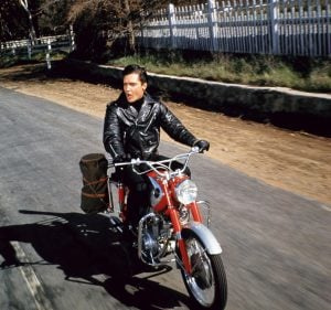 ROUSTABOUT, אלביס פרסלי