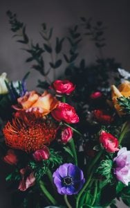 Certains animaux sont naturellement repoussés par certaines fleurs