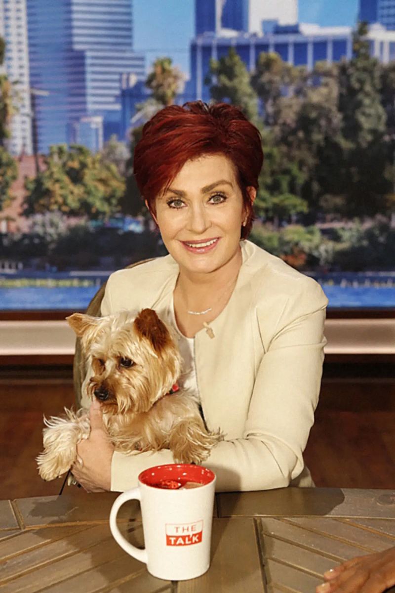  THE TALK (จากซ้าย): เป็นเจ้าภาพร่วมกับ Sharon Osbourne กับ Charlie . สุนัขของเธอ