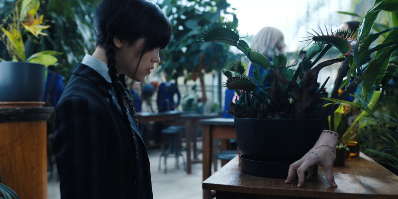 ONSDAG, fra venstre: Jenna Ortega, Thing (alias Thing the Hand),'Woe is the Lonliest Number',