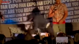   Michael J. Fox tropeçou enquanto subia no palco em uma exposição de fãs de De Volta para o Futuro