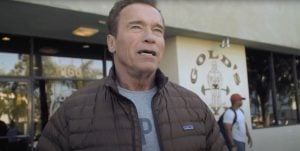   STALLONE: FRANK, SEE ON, Arnold Schwarzenegger