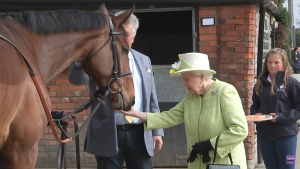   King Charles verkoopt naar verluidt enkele van de paarden uit de koninklijke collectie