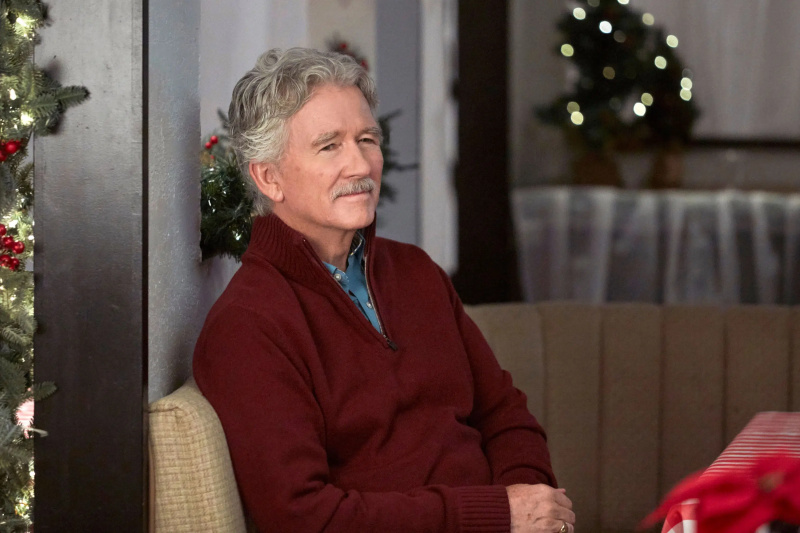 O SEGREDO DO VISCO, Patrick Duffy, filme de tv