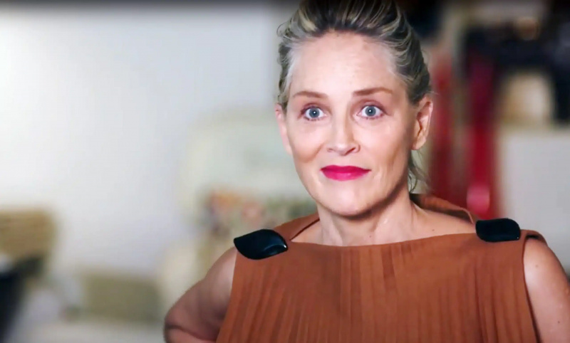  Sharon Stone malata di Hollywood