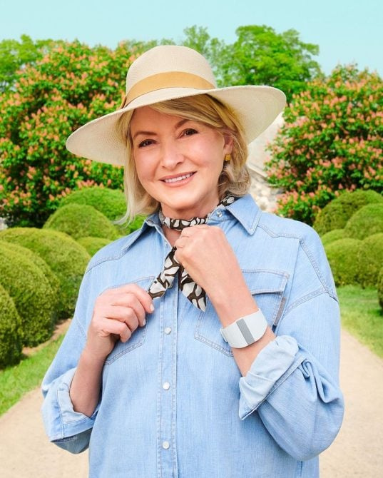  Martha Stewart's shiny looks