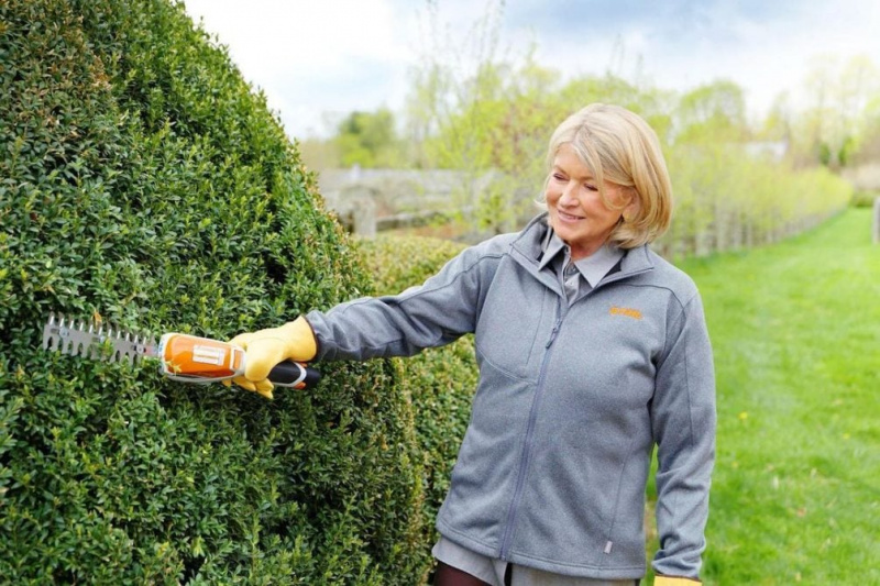  Martha Stewart's shiny looks