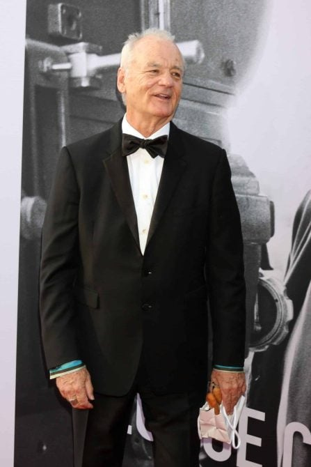 Alcuni romanzi di Bill Murray