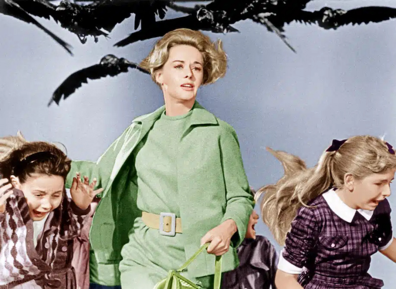 Tippi Hedren elokuvassa Linnut.