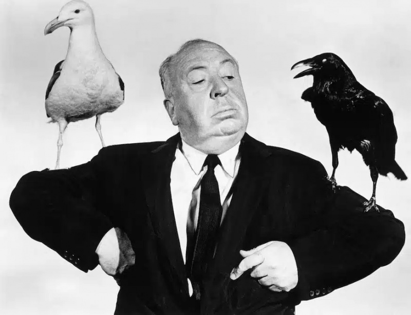   Alfred Hitchcock