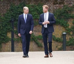   Princ William a princ Harry