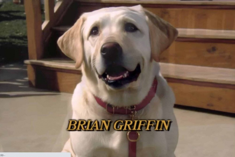 brian grifo