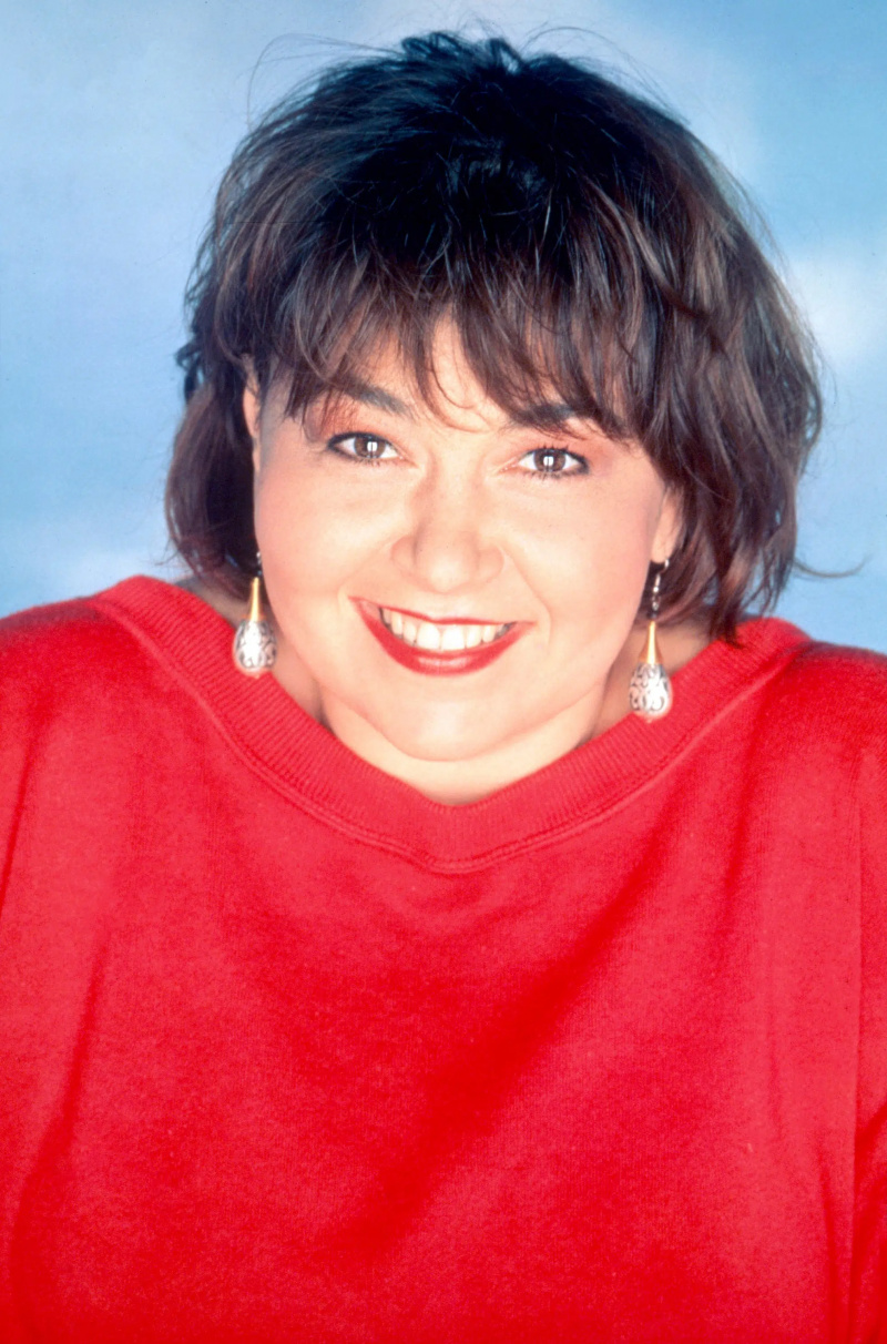  ROSEANNE, Roseanne Barr, (4. sezona, 1991), 1988-2018