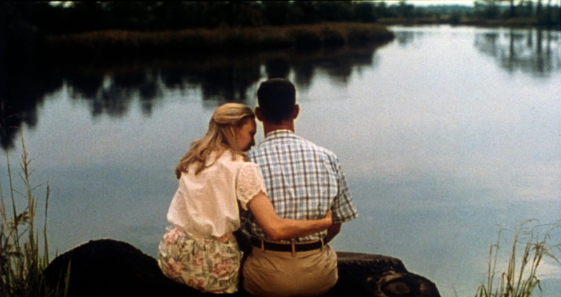 FORREST GUMP, desde la izquierda: Robin Wright, Tom Hanks, 1994