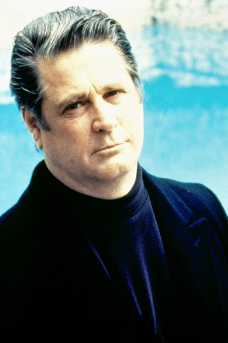 بريان ويلسون: لقد كنت للتو'T MADE FOR THESE TIMES, Brian Wilson, 1995